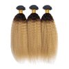 1B27 Kinky Straight Bundles Honey Blonde Human Hair Bundles 14 16 18 Inch Peruvian Virgin Hair Extensions 2 Tone Black and Blonde Bundles 1B27 Kinky Straight Bundles