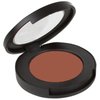 Jill Kirsh Color Mineral Blush - Hollywood's Guru of Hue for Warm Blonde Hair Color (Mocha Rose - Semi Pearl, .15 oz)