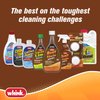 Whink 1291 Rust Stain Remover, 16 Oz