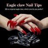 100 Pcs Medium Stiletto Press on Nails Kit,Soft Gel Pre-Shaped Acrylic Nail Tips Eagle Claw Designs Glue on Nail Glossy Extension Tips Manicure Home DIY 10 Sizes Gelly Tips