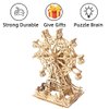 3D Marble Maze Puzzle Toy Wooden STEM Construction Kit for Kids Ages 8-13,Fun Brain Teaser and Educational Puzzle,Promotes Creativity and Cognitive Skills, for All Ages,Including Adults