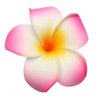 Hustar 10 Pcs 5CM Artificial Hawaiian Plumeria Flower Hair Clips Hair Accessories for Beach Fancy Dress
