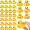 Leitee Ducks for Ducking You've Been Ducked Rubber Ducks Mini Ducks Bulk Yellow Duck Rubber Duckies Yellow Ducky for Bath Toys Birthday Game Pool Party Favors(72 Pcs, Text)