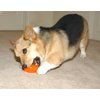 Starmark Everlasting Treat Bento Ball Tough Dog Chew Toy Small