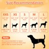 Pet Soft Doggie Diapers - Disposable Dog Diapers for Female in Heat Period or Urine Incontinence, Puppy & Cat Diapers Ultra Absorbent 12pcs XXSmall