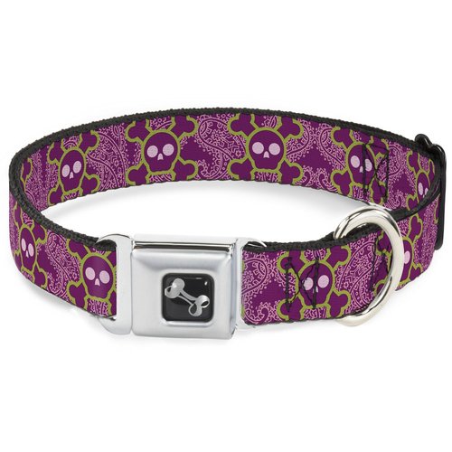 Buckle-Down Seatbelt Buckle Dog Collar - Cute Skulls w/Paisley Purple/Pink/Green - 1" Wide - Fits 11-17" Neck - Medium