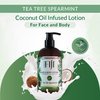 Coco Fiji Face & Body Lotion Infused With Coconut Oil | Lotion for Dry Skin | Moisturizer Face Cream & Massage Lotion for Women & Men | Tea Tree Spearmint 12 oz, Pack of 1