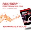 MINDFX Performance Pro Blend - Mixed Berry | Nootropic Endurance Drink | Boost Focus, Concentration, and Brain Health | 20 Sticks | Natural Ingredients (Mixed Berry Pro, 1)