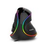 DeLUX Ergonomic Vertical Mouse, Wired Ergo Mouse for Large Hands, 6 Programmable Buttons, Up to 12800 DPI, Removable Wrist Rest, Vibrant RGB Backlit, for Windows 7/8/10/XP/Vista (M618Plus RGB-Wired)