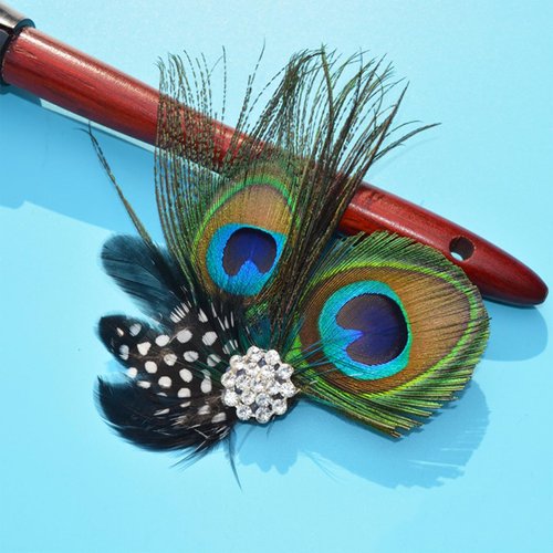 Peacock Feather Hair Clip Vintage Feather Fascinator Crystals Hairpin for Women Girls Beautiful Peacock Hair Accessories Hair Decoration for Daily Use and Party 1 PCS