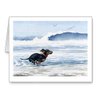 DJ Rogers Fine Art Dachshund at the Beach - Set of 10 Note Cards With Envelopes