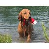 Bark Brite The Chewy Buoy Water Dog Toy