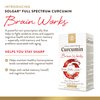 Solgar Full Spectrum Curcumin Brain Works, 90 Licaps - Support Memory Recall, Focus, Cognitive Function - Antioxidant Support - Curcumin, BacoMind, Choline, Vitamin B12 - Non-GMO, Vegan - 30 Servings