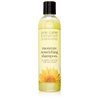 Jane Carter Moisture Nourishing Shampoo, 8 Ounce