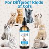 Lysine for Cats Immune Support, L-Lysine Supplement for Cat, Lysines for Feline Respiratory Health - Reduces Sneezing, Sneezing, Runny Nose, Eye Function, Natural Cat Drops for Kittens & Adult Cats