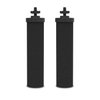Water Filter Replacement for Berkey Water Filter, 2 Activated Carbon Filters Compatible with Purifiers Berkey Gravity Water Filter System, Pack of 2