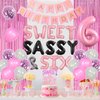 JOYMEMO Sweet Sassy and Six Birthday Decorations Girl, Pink Sweet Six Birthday Party Supplies with Donut Ice Cream 6th Birthday Cake Topper, Birthday Girl Sash, Happy Birthday Banner, Tinsel Curtain