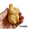 1 Hatch and Grow a Capybara in Water - Add Water and it Grows Toy Fun Science Expanding Novelty Magic Absorbent Polymer Toy