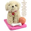 Click N' Play Toy Puppy Set for Kids, Dog Bed - Little Toddler Girl Toy, Toys 3+ Year Old Girls, Three Year Old Girl Gifts,Toy Dogs for Kids - Puppy Toys for Kids