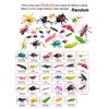 PINOWU 27pcs Bug Toy Figures Playset for Kids Boys, 2-6” Fake Bug Insects - Fake Spiders, Cockroaches, Scorpions, Crickets, Lady Bugs, Butterflies and Worms for Education and Christmas Party Favors