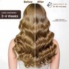 Fedulili Hair Dye Shampoo 3-in-1 Champu Para Canas Mujer, Instant Light Brown Herbal Hair Color Treated Shampoo, Long Lasting Easy to Use, for Women Men Christmas Gift, 500ml