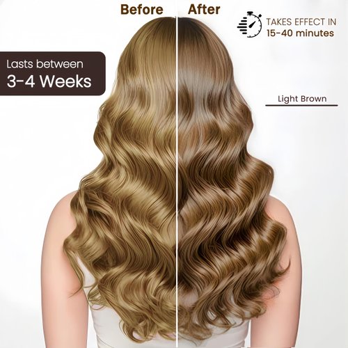 Fedulili Hair Dye Shampoo 3-in-1 Champu Para Canas Mujer, Instant Light Brown Herbal Hair Color Treated Shampoo, Long Lasting Easy to Use, for Women Men Christmas Gift, 500ml