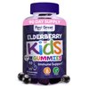 Feel Great Kids Elderberry Gummies with Zinc and Vitamin C | Kids Immune Support Sambucus Elderberry Gummies | Berry Flavored Vegan Kids Multivitamins | 90 Day Supply