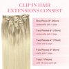 GOO GOO Clip in Hair Extensions Real Human Hair, 16inch 85g 7Pcs, 17/22/60 Balayage Ash Blonde to Golden Blonde and Platinum Blonde, Remy Human Hair Extensions Clip ins for Women, Natural Human Hair