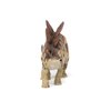 Papo Multi-Colored Stegosaurus Toy Figure 12cm