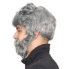 The Most Interesting Man In The World Grey Costume Wig & Beard Set