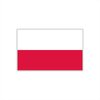 Womaha 30 Sheets Poland Flag Temporary Tattoos Fans Face Tattoo Stickers for Adults Kids Group Activity Props