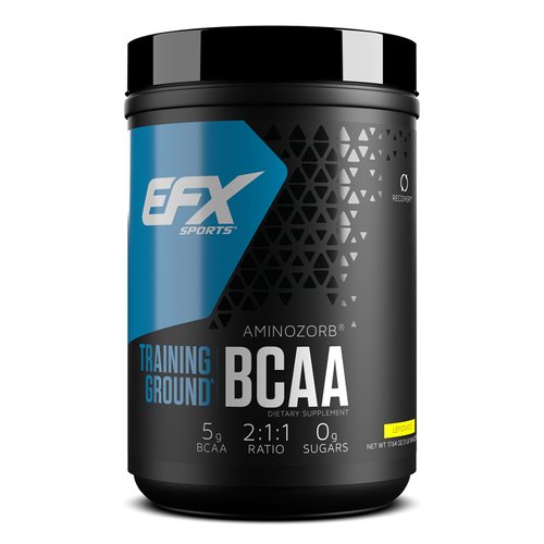 EFX Sports Training Ground BCAA | Fully Stable, Highly Soluble Amino Acids Supplement | Pre, Intra, or Post Workout | Sugar Free | 500 Grams (Lemonade)