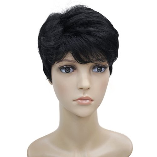 Wigsinway Short Synthetic Wigs Jet Black Fluffy Straight Full Bang Capless Heat Resistant Fiber Wigs for Women Average Size