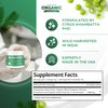 Amla Powder & Decaf Green Tea Superfood Supplement, 20x Ultra Concentrated Amla, Oolong Tea and Indian Gooseberries, Organic, Vegan, 90 Servings