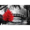 najiaxiaowu Adult Puzzle Classic Jigsaw Puzzle 1000 Pieces Wooden Puzzle DIY Black and White Bridge and Red Tree Modern Home Decor Intellectual Game Wall Art Unique Gift 75x50cm