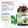 BIO KRAUTER Goldenseal Root Supplement - Organic Goldenseal Capsules 700 mg - Traditional Herbal Supplement - 100 Vegan Pills