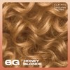 Clairol Textures & Tones Permanent Hair Dye, 6G Honey Blonde Hair Color, Pack of 1