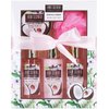 BRUBAKER Cosmetics Bath and Shower Set - Coconut and Strawberry Scent - 5 Pcs Spa Gift Set for Women - Skin Care Gift Box for Wife Girlfriend or Best Friend