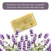 Dr Jacobs Naturals, Triple Milled Loofah Exfoliating Castile Bar Soap 5 oz. - Luscious Lavender
