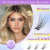 ALICE Natural Lash Clusters Kit Wispy Lash Extension Kit Thin Band Cluster Eyelash Extension Kit 270pcs C Curl 10-14mm Individual Lashes with Lash Glue Bond and Seal Self Application at Home