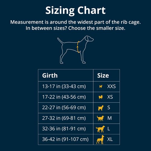 Ruffwear, Float Coat, Dog Life Jacket, Swimming Safety Vest with Handle, Red Sumac, X-Small