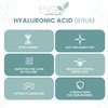 Eva Naturals Anti-Aging Hyaluronic Acid Serum For Face - Professional & Potent Hydrating Anti-Wrinkle Formula For Fine Line & Uneven Skin Tone - Contains Vitamin C, B, & E, Paraben Free (8 Oz)