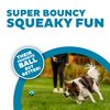 Outward Hound Squeaker Ballz Fetch Dog Toy, Small- 4 Pack