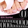 PAGOW 500 Pcs False Toenails Artificial French Acrylic Clear Toe Nail Tips 10 Sizes for Full Cover DIY Foot Nails