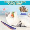 Andiker Catnip Toy for Cats, Cute Realistic Cat Fish Toy with Catnip and Crinkle Paper Soft Bite-Resistant Interactive Cat Toy for Indoor Cats Kittens Biting Chewing Reducing Boredom (Square)