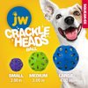 Crackle Heads Ball Dog Toy [Set of 3] Size: Medium (8" H x 3" W x 3" L), Color: Green
