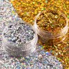 Silver and Gold Holographic Chunky Glitter Cosmetic Body Hair Face Eye Nail for Festival Carnival Concert Party Beauty Rave Accessories Different Shapes 4 Pots 32g/1.12oz+ Quick Dry Primer Glue Gel