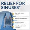 Equilife - Sinus Support, with Berberin & Licorice root to Help Promote Nasal Congestion, Mucus Relief, and Sinus Relief, Rich with Antioxidants and Amino Acids, Gluten-Free (20 Servings)