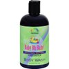 Rainbow Research Baby oh Colloidal Oatmeal Body Wash Unscented - 12 Oz, 2 pack