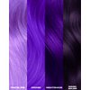 Lunar Tides Semi-Permanent Hair Color (43 colors) (Iris Purple)